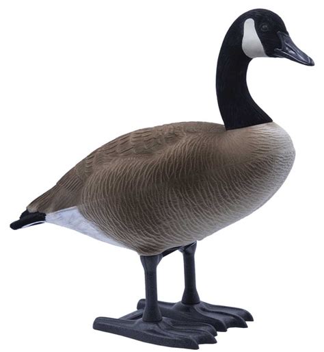 bigfoot goose decoys.